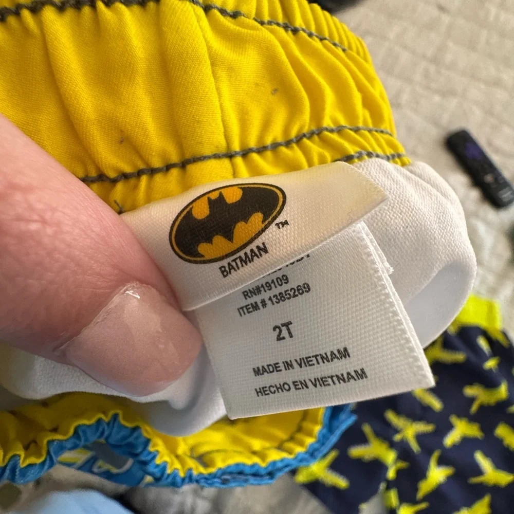 Batman and Alligator Themed Boys' Swim Shorts